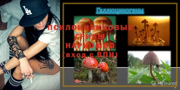 гидропоника Кулебаки