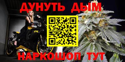 mdpv Заводоуковск