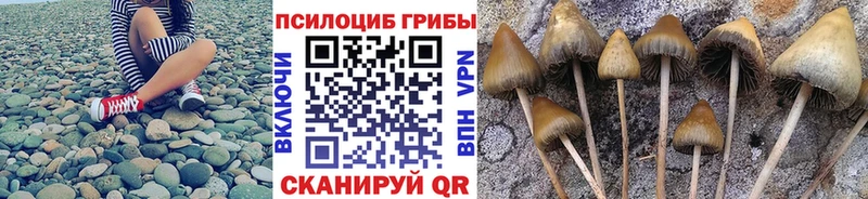 наркота  Людиново  Галлюциногенные грибы MAGIC MUSHROOMS 