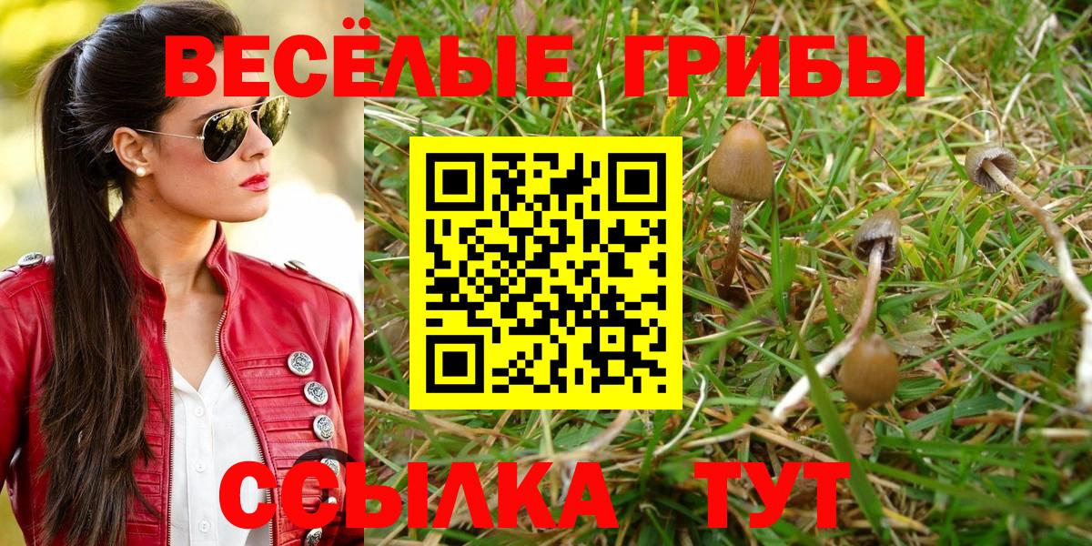 Псилоцибиновые грибы прущие грибы  где продают   Псилоцибиновые грибы Psilocybine cubensis  Людиново  Вход с VPN 